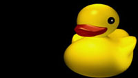 RubberDuckie02