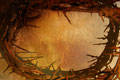 CrownOfThorns03