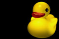 RubberDuckieWipe02