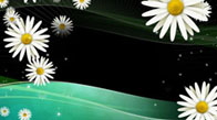 Daisies_on_Green_OL