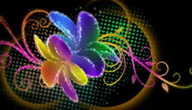 Vibrant_Flourish_BG01