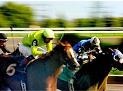 sports06