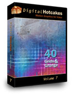 Digital Hotcake Vol 7